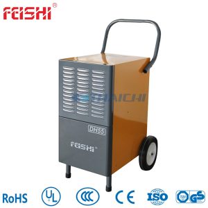 Máy hút ẩm FDH-250BS